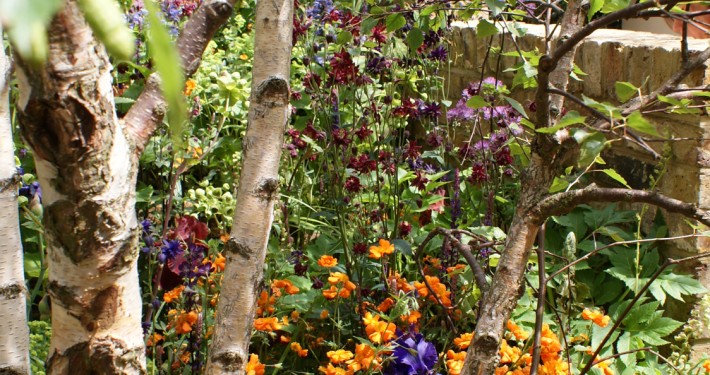 Als professioneller Landschaftsgärtner sind wir perfekt in der Gartenpflege