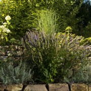 Rosen und Lavendel mit Trockenmauer