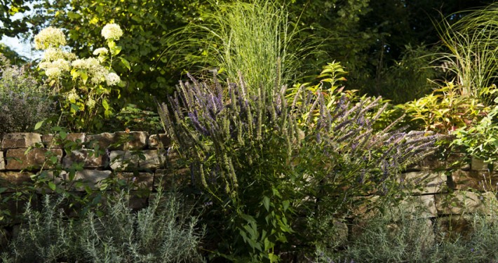 Rosen und Lavendel mit Trockenmauer