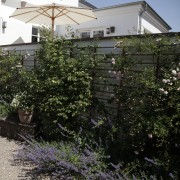 Begrünte Wand zur Nachbargarage