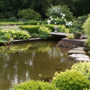 Gartenteich mit Trittsteinen