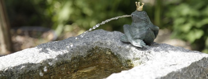 Granit ein wunderschönes langlebiges Baumaterial, hier Froschkönig als Wasserspeier