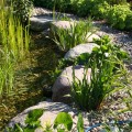 große Findlinge als Trittsteine durch den Garten-Teich