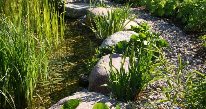 große Findlinge als Trittsteine durch den Garten-Teich