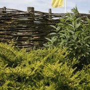 natürlicher Sichtschutz mit Weidengeflecht
