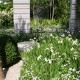 Ein Patio ist ein kleiner Garten