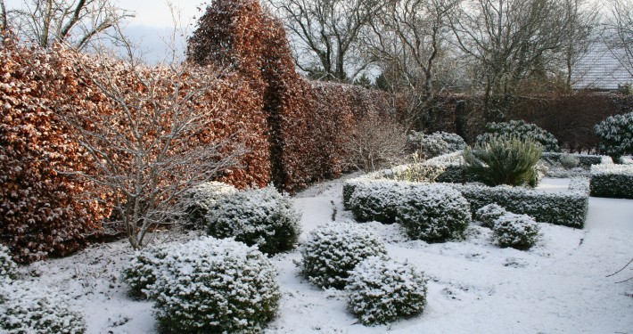 Die Buchenhecke hält das Laub den ganzen Winter durch - ein guter Sichtschutz