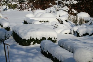 Struktur und gute Proportionen durch immergrüne Gehölze im Winter