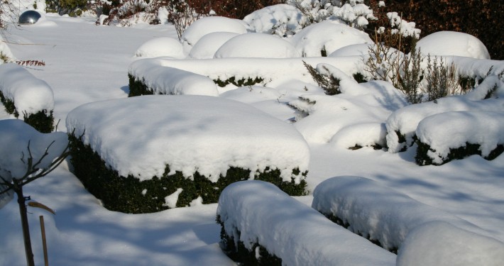 Struktur und gute Proportionen durch immergrüne Gehölze im Winter