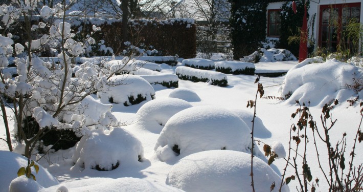 Im Winter sieht der Cottage Garten toll aus, Buchsbaum, Gräser und andere Immergrüne geben die Struktur